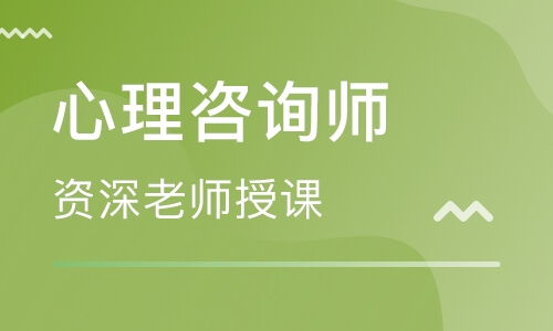 心理咨询之光 上海培训班的启航之旅